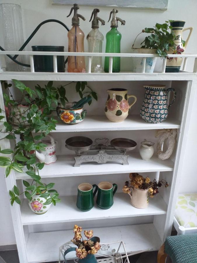 סרמסקי קרלובצ'י Zeravica Rooms B&B מראה חיצוני תמונה