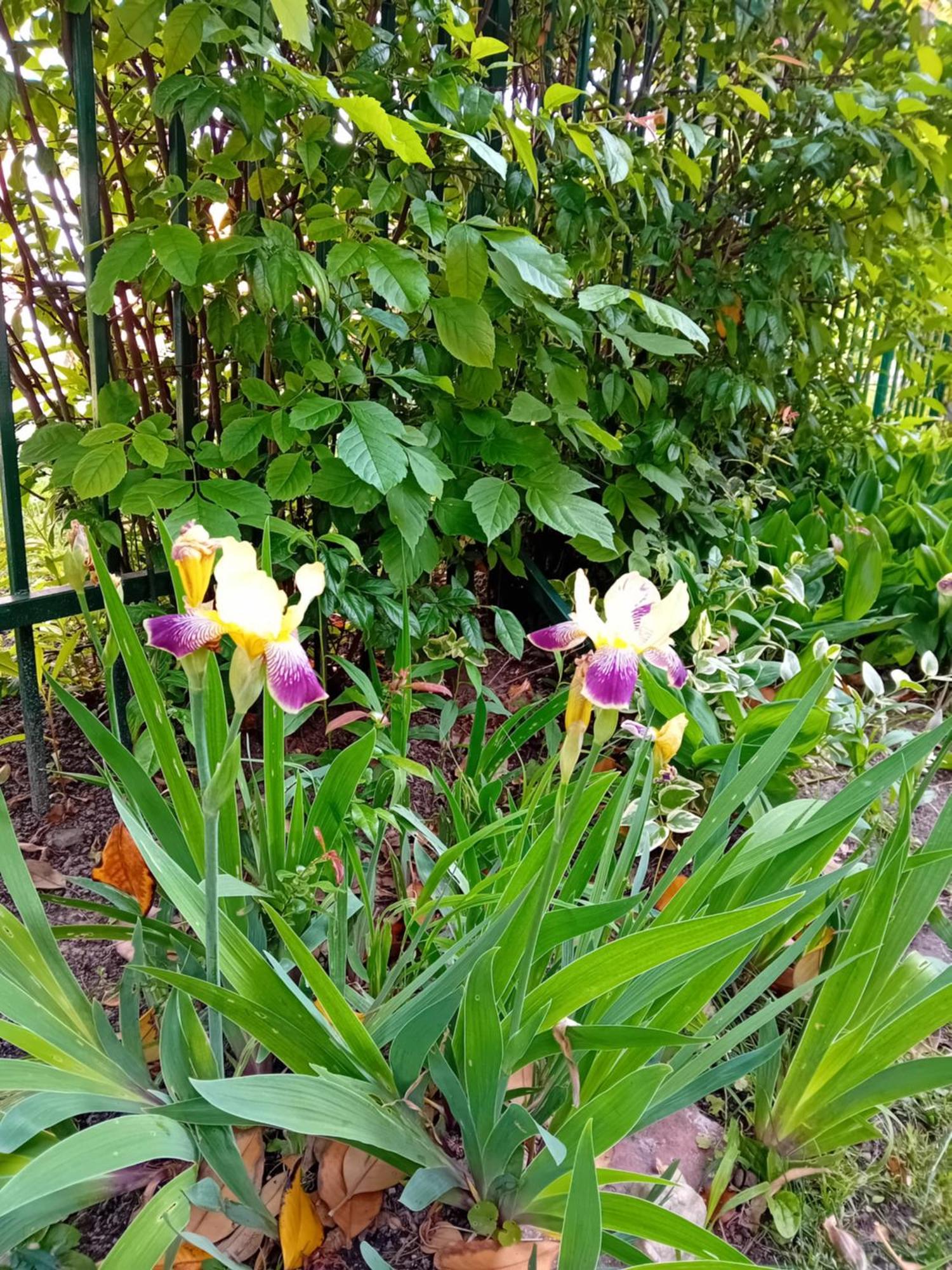 סרמסקי קרלובצ'י Zeravica Rooms B&B מראה חיצוני תמונה