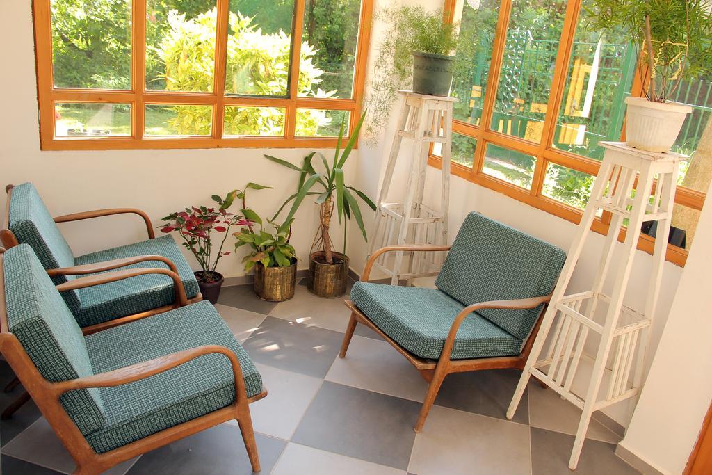 סרמסקי קרלובצ'י Zeravica Rooms B&B מראה חיצוני תמונה